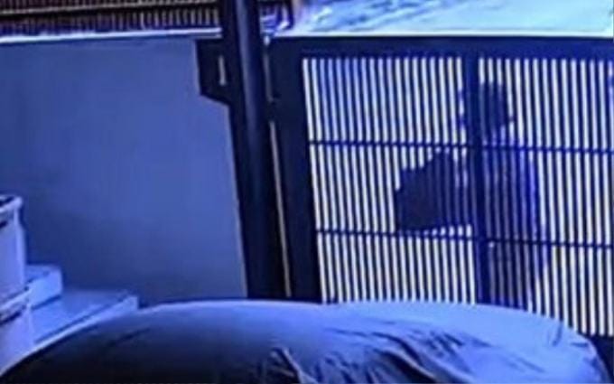 Nam ca sĩ hoảng loạn trước hành động bất ngờ của kẻ lạ mặt