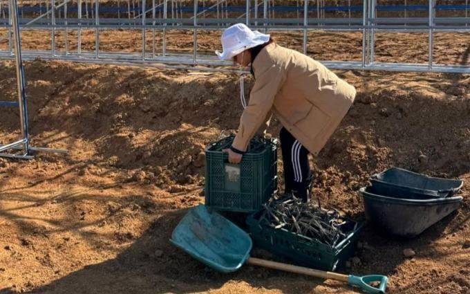 Nữ ca sĩ đa tài: Buôn bán online, trồng rau kiếm tiền sau biến cố