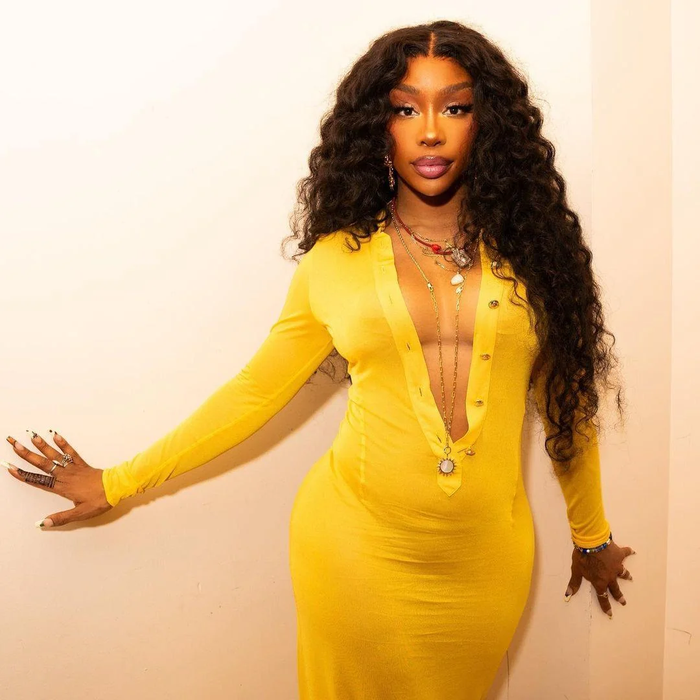 SZA thừa nhận nợ tiền Beyoncé Ảnh 3