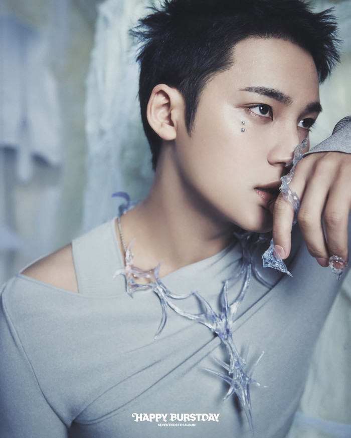 Album HAPPY BURSTDAY của SEVENTEEN
