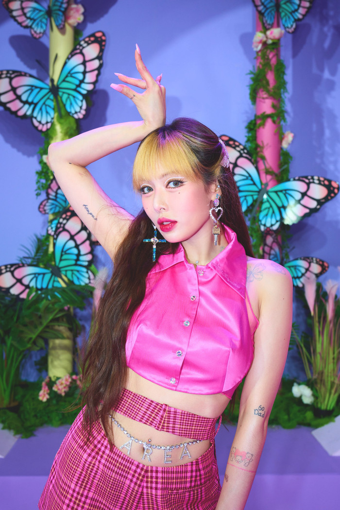 HyunA hủy show vì nhập viện khẩn cấp Ảnh 2