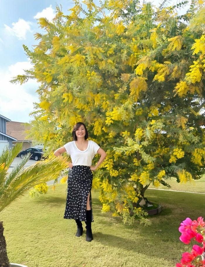 Cây hoa mimosa nở vàng rực một góc sân nhà của Hồng Đào.
