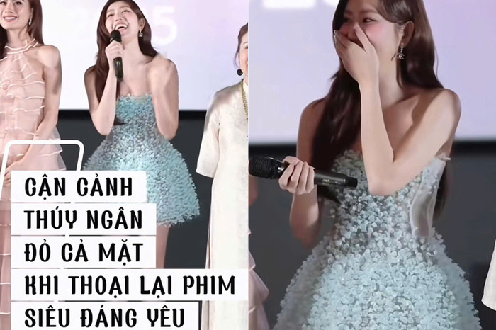 (Ảnh chụp màn hình)